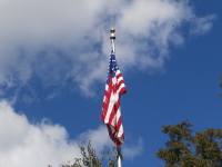 Capitol flag