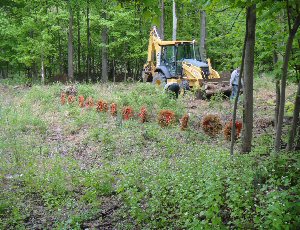 Crossroads digging